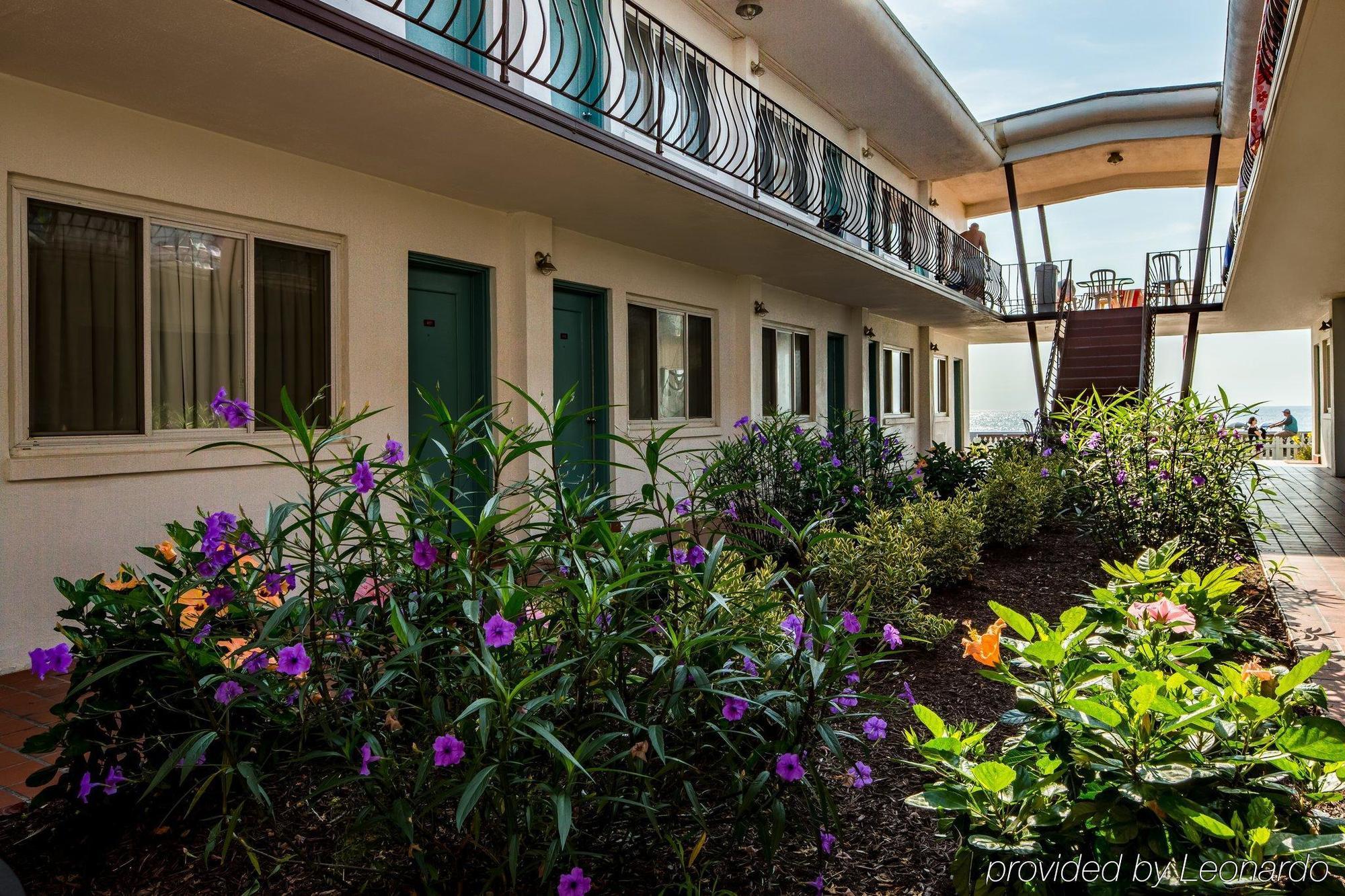 Beach Plaza Hotel Ocean City Exterior foto